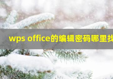 wps office的编辑密码哪里找